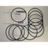 O-Ring 110X3,5 Mm (10 Pcs.)