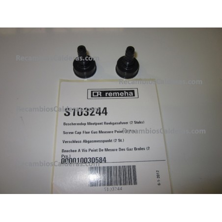 Screw Cap Flue Gas Measure Point (2 Pcs.