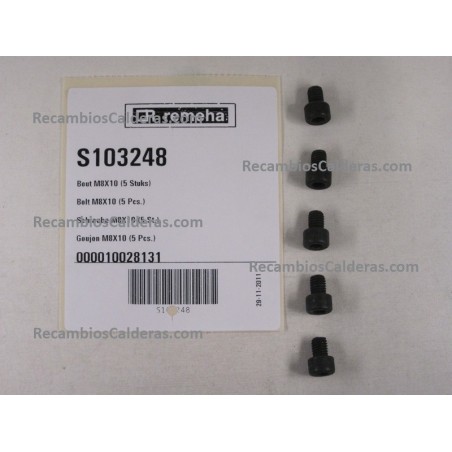 Bolt M8X10 (5 Pcs.)