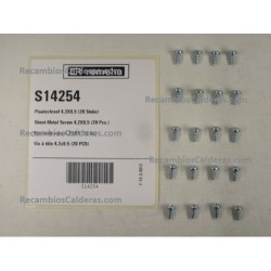 Sheet-Metal Screw 4,2X9,5 (20 Pcs.)