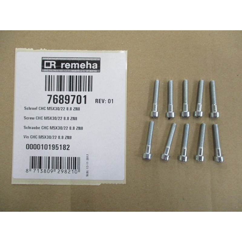 Screw CHC M5X30/22 8.8 ZN8