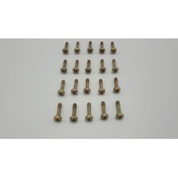 Screw M4X16  (20 Pcs.)