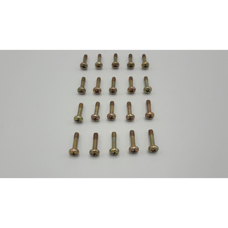 Screw M4X16  (20 Pcs.)