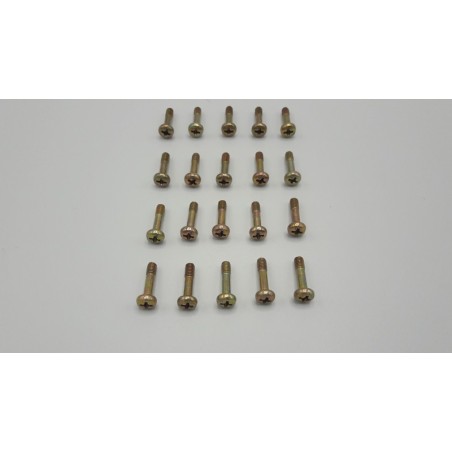 Screw M4X16  (20 Pcs.)