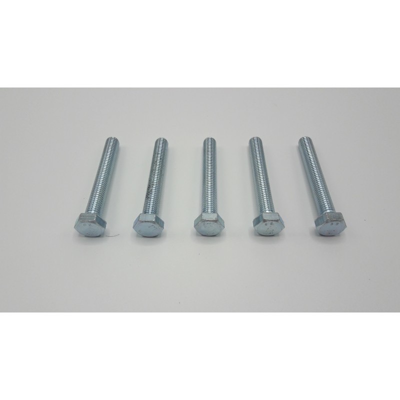 Bolt M8X60 (5 Pcs.)