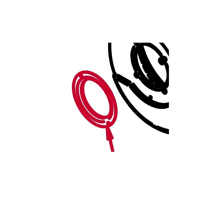 Transportador de127x20