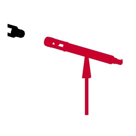 Cable sonda + enchufe d4